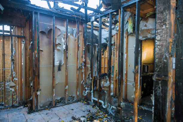 Professional Smoke Odor Removal technician working in Richardson, TX