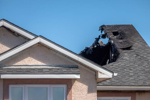 Top rated local Smoke Odor Removal specialists in Richardson, TX